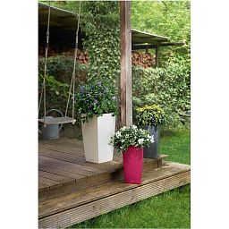 LECHUZA CUBICO Color Square Tall Poly Resin Self-watering Planter Set