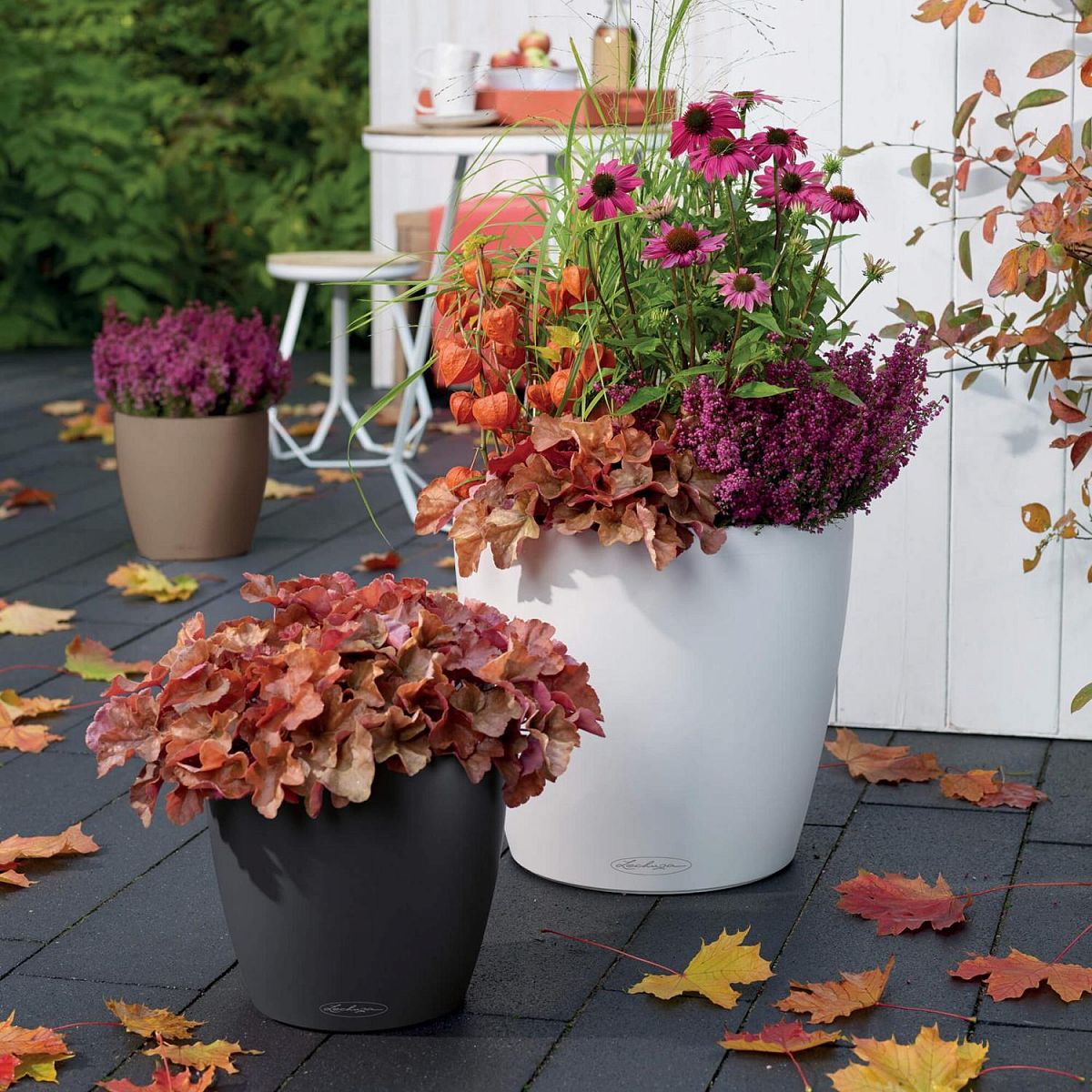 LECHUZA CLASSICO Color Round Poly Resin Self-watering Planter