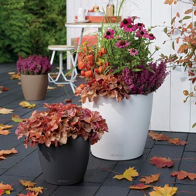 LECHUZA CLASSICO Color Round Poly Resin Self-watering Planter