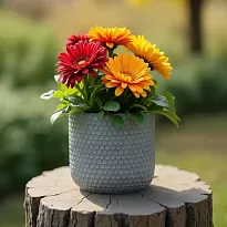 IDEALIST Lite Honeycomb Style Green Grey Cylinder Garden Round Planter...