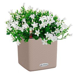 LECHUZA CUBE Color Square Poly Resin Indoor Self-watering Planter