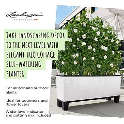 LECHUZA TRIO Cottage Trough Poly Resin Self-watering Planter