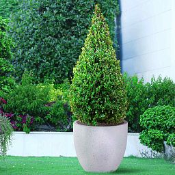 IDEALIST Lite Contemporary Light Concrete Egg Planter