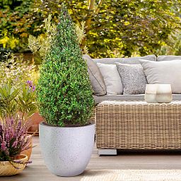 IDEALIST Lite Contemporary Light Concrete Egg Planter