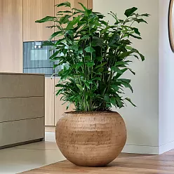 Opus Polystone Globe Planter + Liner | Hammered Finish Indoor Plant Pot