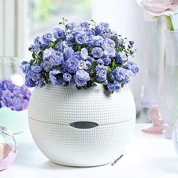 LECHUZA PURO Color Round Poly Resin Self-watering Planter