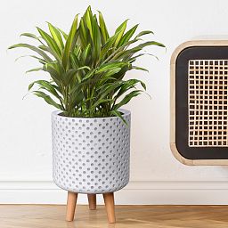 IDEALIST Lite Dotted Style Planter on Legs, Round Plant Pot Indoor