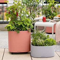 LECHUZA PILA Color Square Poly Resin Self-watering Planter