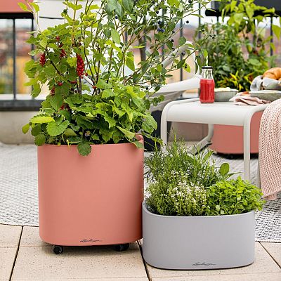 LECHUZA PILA Color Square Poly Resin Self-watering Planter