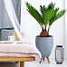 Striped Egg Planter on Legs, Round Pot Plant Stand Indoor by Idealist Lite