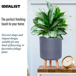 IDEALIST Lite Dotted Style Planter on Legs, Round Plant Pot Indoor