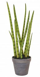 Sansevieria with Brown Pot Artificial Flower Plant