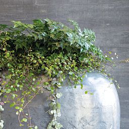 Fleur Ami Loft Roomdivider planter
