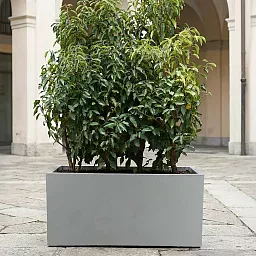 IDEALIST Lite Contemporary Light Concrete High Trough Planter