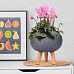 IDEALIST Lite Honeycomb Style Bowl Planter on Legs, Round Pot Plant Stand Indoor