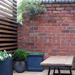 IDEALIST Lite Leaf Embossed Ball Planter