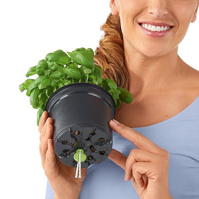 LECHUZA CUBE Color Square Poly Resin Indoor Self-watering Planter