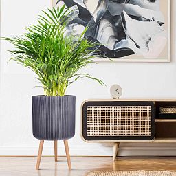 IDEALIST Lite Ribbed Cylinder Planter on Legs, Round Pot Plant Stand Indoor