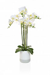 AN-Phalaenopsis Real Touch in Pot White Artificial Flower Plant