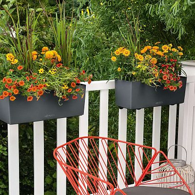 LECHUZA BALCONERA Color Trough Poly Resin Self-watering Planter