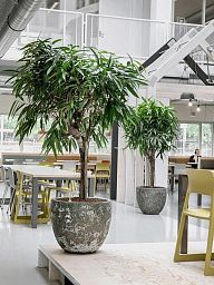 Lava Ceramic Round Planter | Indoor and Outdoor Plant Pot