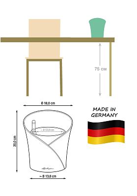 Blooming Phalaenopsis Orchid in LECHUZA ORCHIDEA Self-watering Planter, Total Height 65 cm