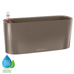 LECHUZA DELTA 10|DELTA 20 Poly Resin Indoor Self-watering Planter