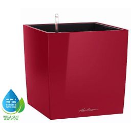 LECHUZA CUBE Square Poly Resin Self-watering Planter