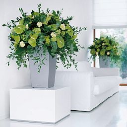 LECHUZA CUBICO Square Tall Poly Resin Self-watering Planter