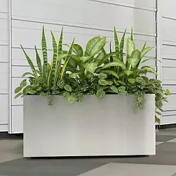 Superline Trend on Wheels Rectangle Indoor Planter