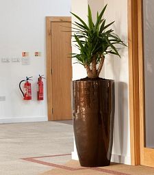 Contemporary Round Tall Ceramic Look Planter