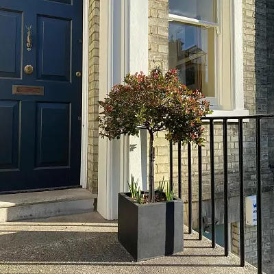 IDEALIST Lite Square Box Contemporary Light Concrete Planter