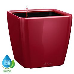 LECHUZA Quadro LS Square Poly Resin Self-watering Planter