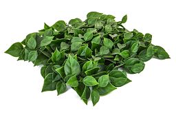 Topiary Mat Bougan UV-resistant Artificial Grass Plant