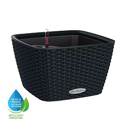 LECHUZA BACINO Cottage Square Poly Resin Self-watering Planter