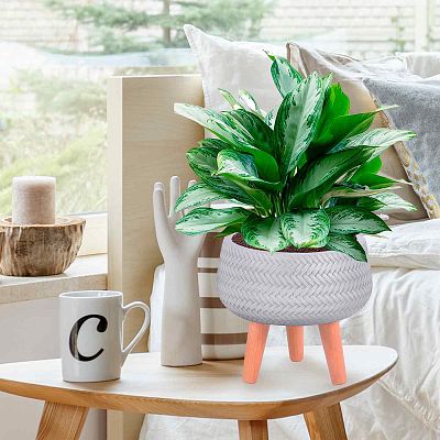 IDEALIST Lite Plaited Style Bowl Planter on Legs, Round Pot Plant Stand Indoor
