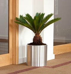 Standard Cylinder Round Brushed Aluminium Planter