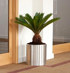 Standard Cylinder Round Brushed Aluminium Planter