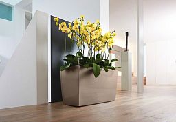 LECHUZA CARARO Trough Poly Resin Self-watering Planter