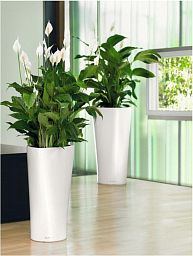 LECHUZA Delta Round Tall Poly Resin Self-watering Planter