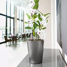 LECHUZA DELTINI|MINI-DELTINI Round Poly Resin Indoor Self-watering Planter