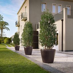 LECHUZA CLASSICO Round Poly Resin Self-watering Planter with Substrate