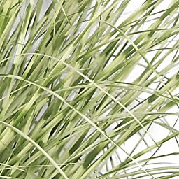 Zebra in metal pot Artificial Grass Plant