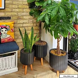IDEALIST Lite Modern Ribbed Cylinder Planter on Legs, Round Pot Plant Stand Indoor