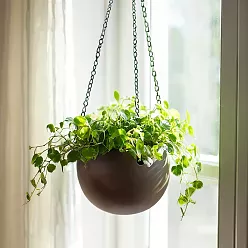 Gradient Hanging Globe Matt Coffee D24 H19 cm Planter