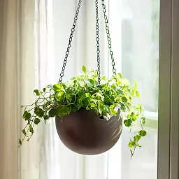 Gradient Hanging Globe Matt Coffee D24 H19 cm Planter