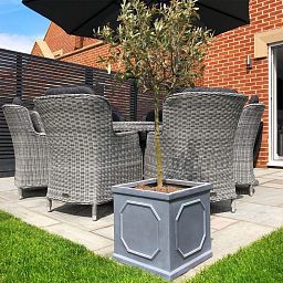 IDEALIST Lite Faux Lead Chelsea Box Square Light Concrete Planter