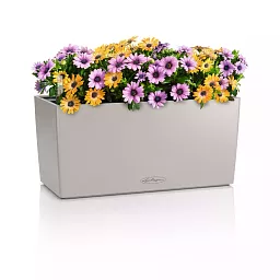LECHUZA BALCONERA Color Trough Poly Resin Self-watering Planter