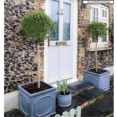 IDEALIST Lite Faux Lead Chelsea Box Square Light Concrete Planter