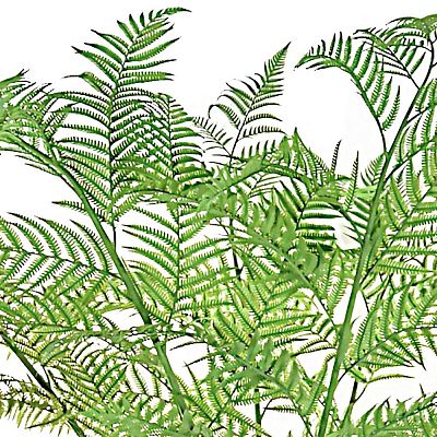 Palm Alsophila Artificial Tree Plant Palm Alsophila Artificial Tree Plant